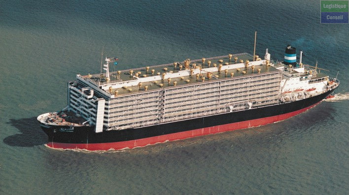 Un navire bétailler est un navire de charge spécialisé dans le transport de bétail. On trouve ainsi l'appellation « navire bétailler »1 qui semble le plus correspondre à l'anglais livestock carrier ou cattle carrier ; « navire de transport de bétail »2 ; « moutonnier » ou « cargo moutonnier » pour les anciens paquebots transportant des moutons3. navire-betailler.jpg